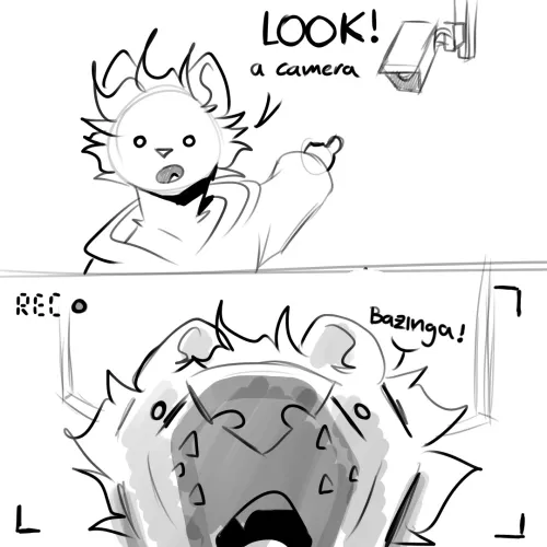 A camera (by me; open comms)