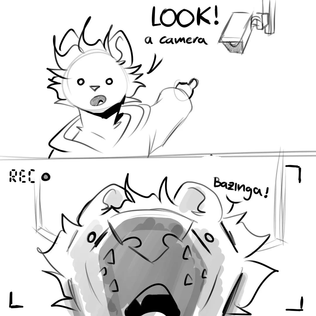 A camera (by me; open comms)