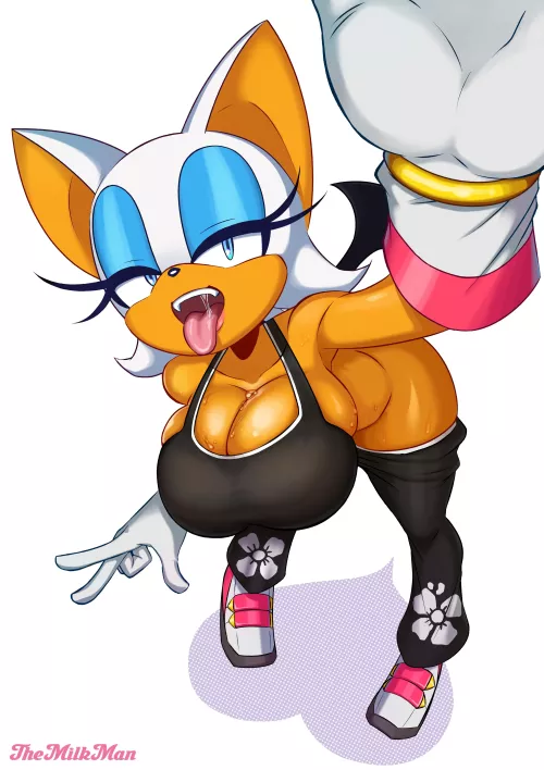 Rouge, Sonic Riders outfit (Artist:TheMilkMan)