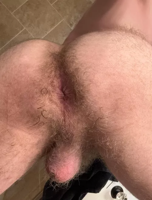 Trace your tongue all across my hairy taint and hole 👅