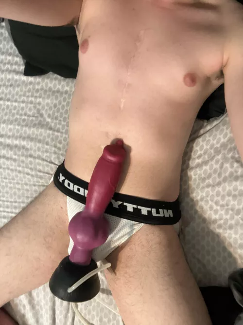 (18) i love my first bd -large rex