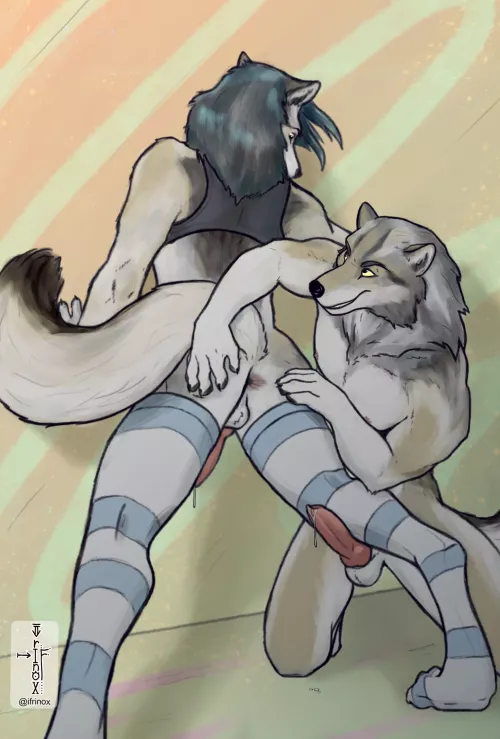 A careful examination of a wolf revealed that he, in fact, has a butthole (Ifrinox)