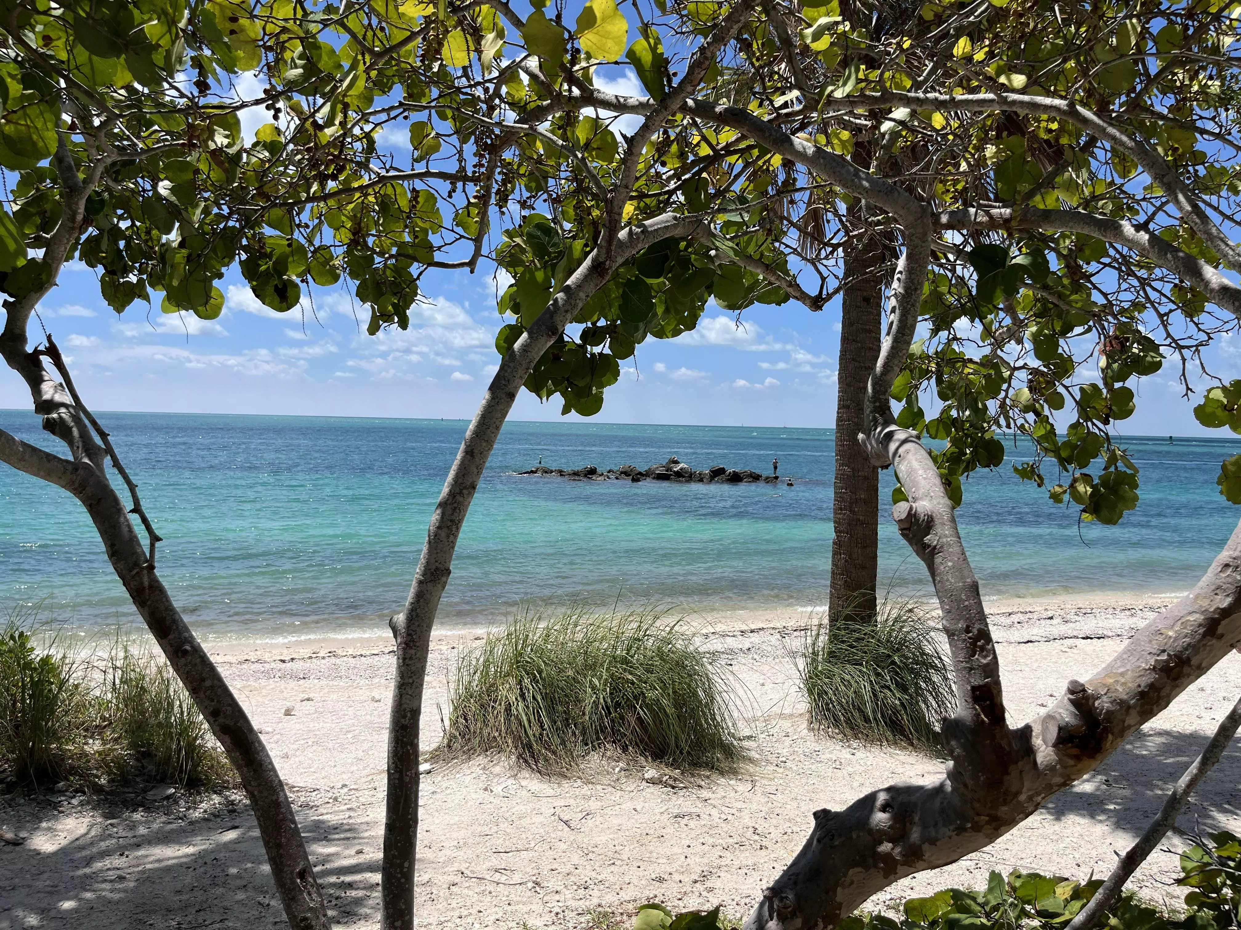 All I want for Christmas