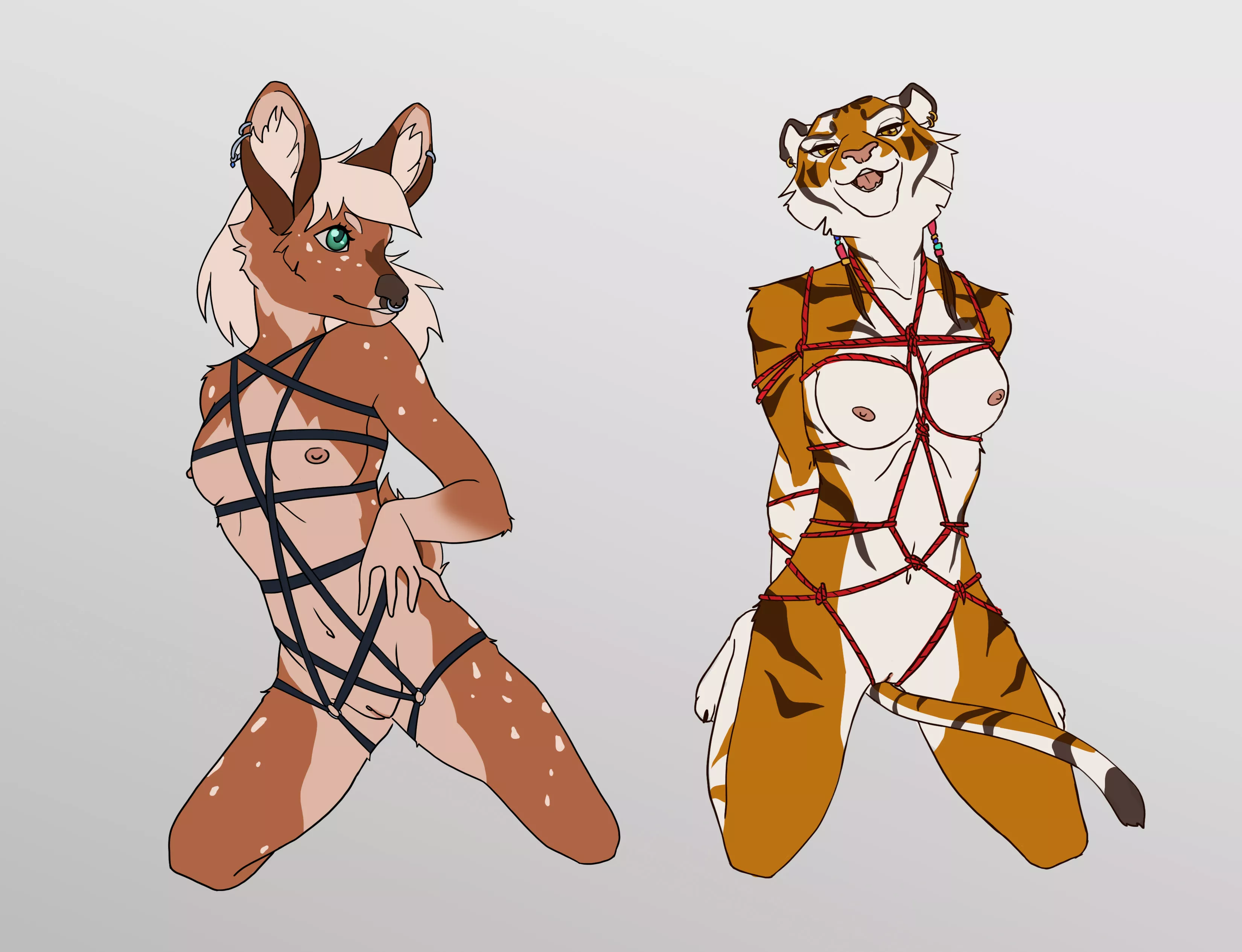 Anyone here like Shibari? (ACE-Shellshocked)