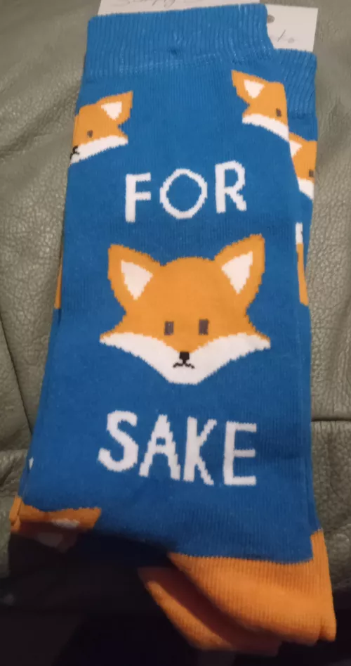 Best pair of socks I've bought