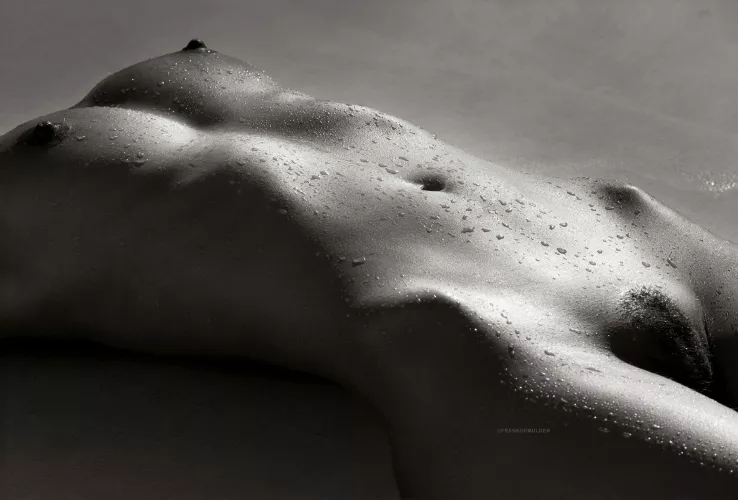 Body and Soul, by Frank De Mulder