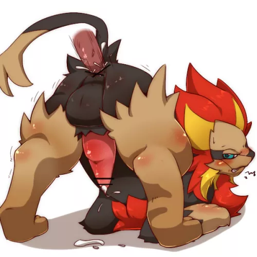 Catch them all challenge 668 - Pyroar (okunawa)