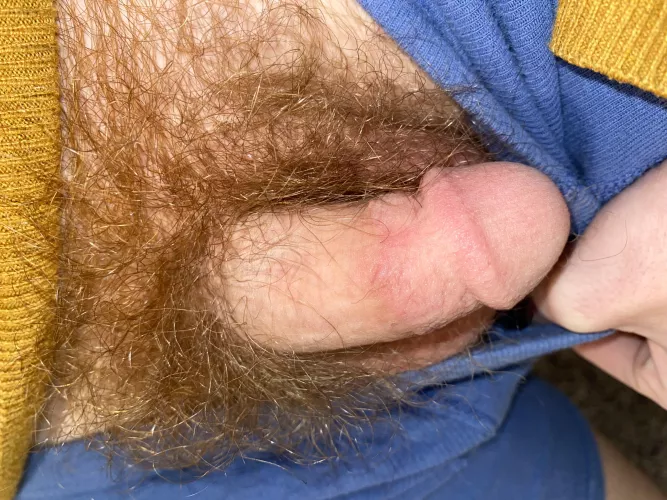 Do you like my bush?