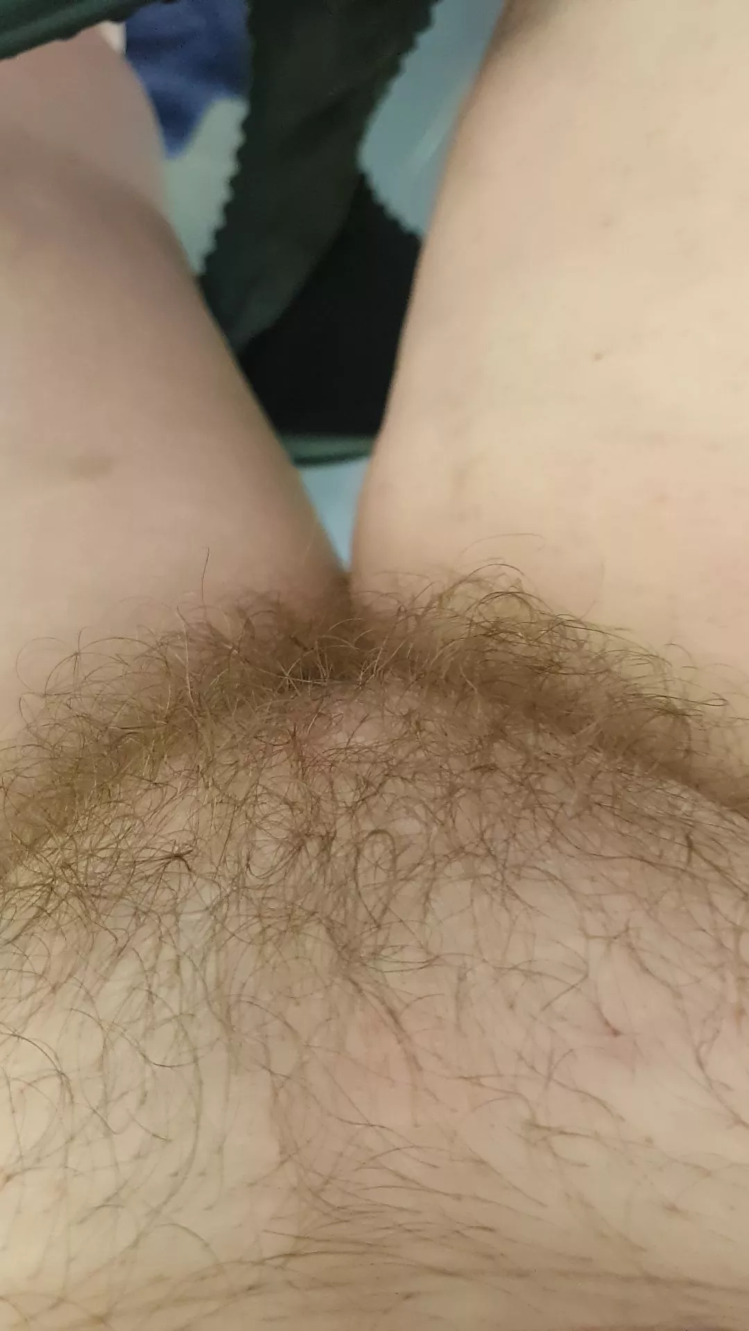 From the swimming pool