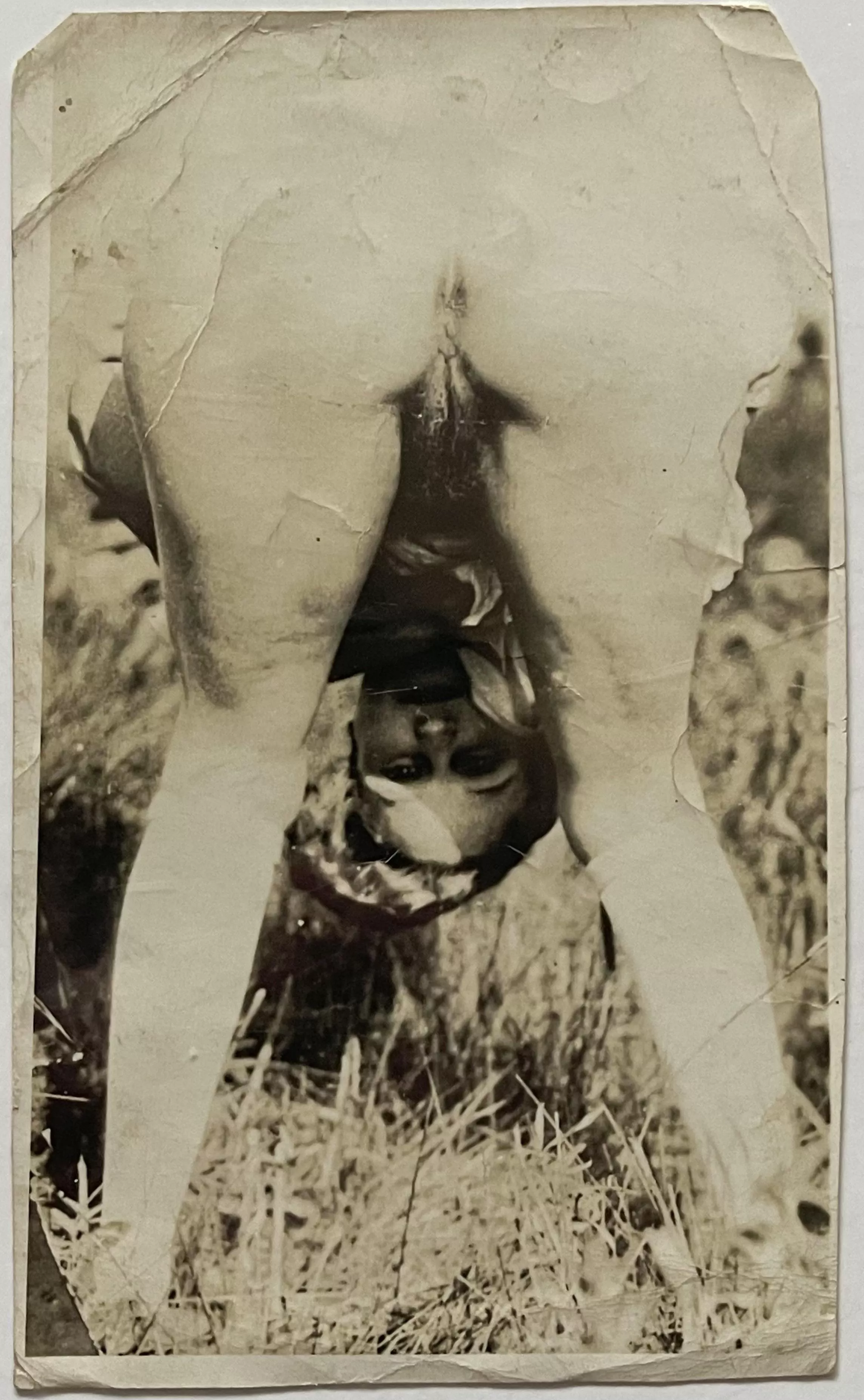 Gentlemen, can you recommend a lawn care method? I was not pleased with the sheep - although they did a fine job of keeping the verge trimmed, their deposits attracted flies most egregiously. I then attempt the use of a dedicated gardener; however this s