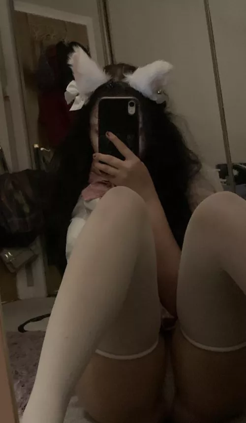 good kitty (18f)