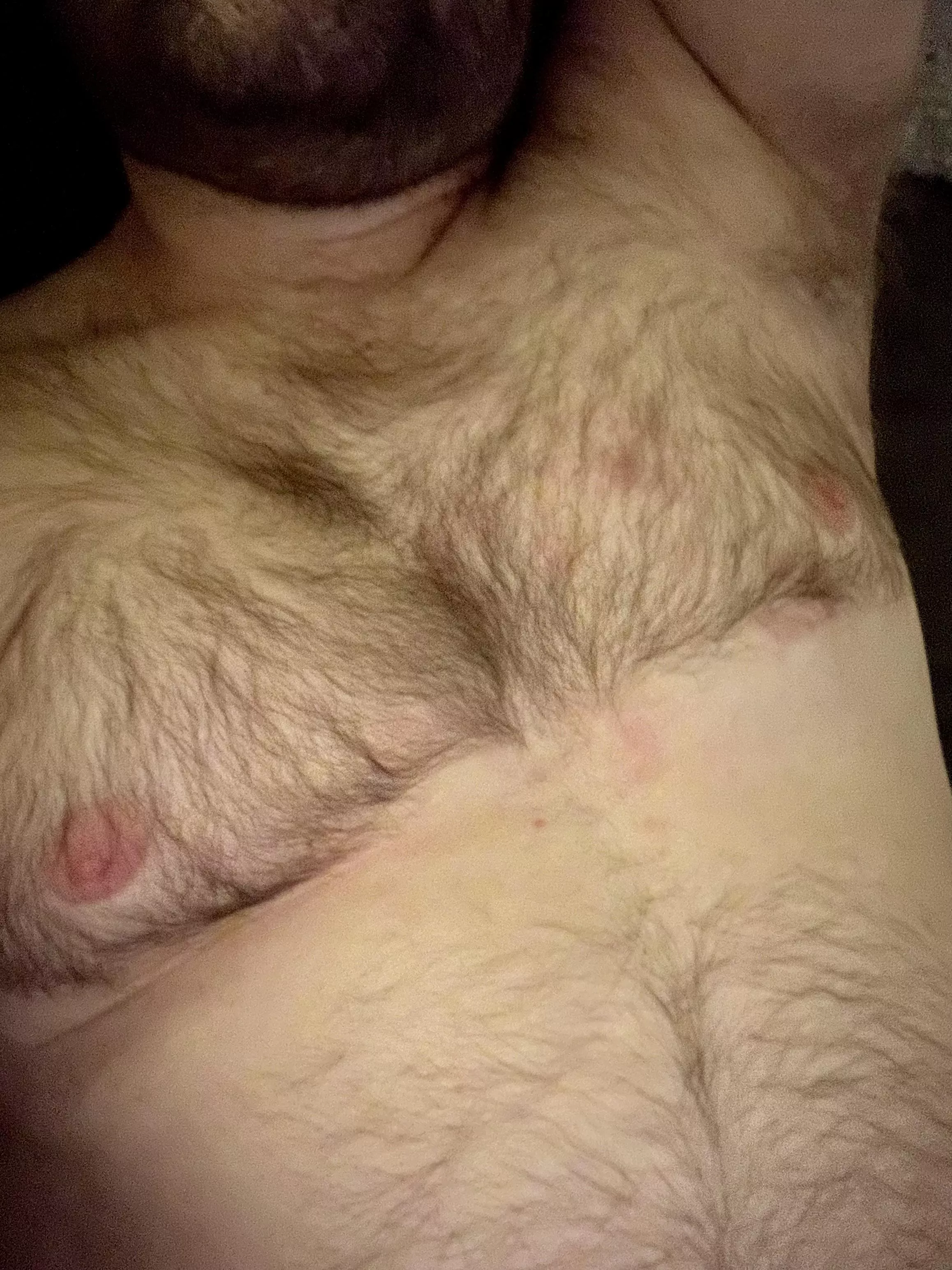 Hairy chest; tiny nipples 😜