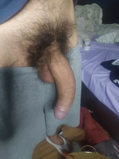 Hairy monster for you...