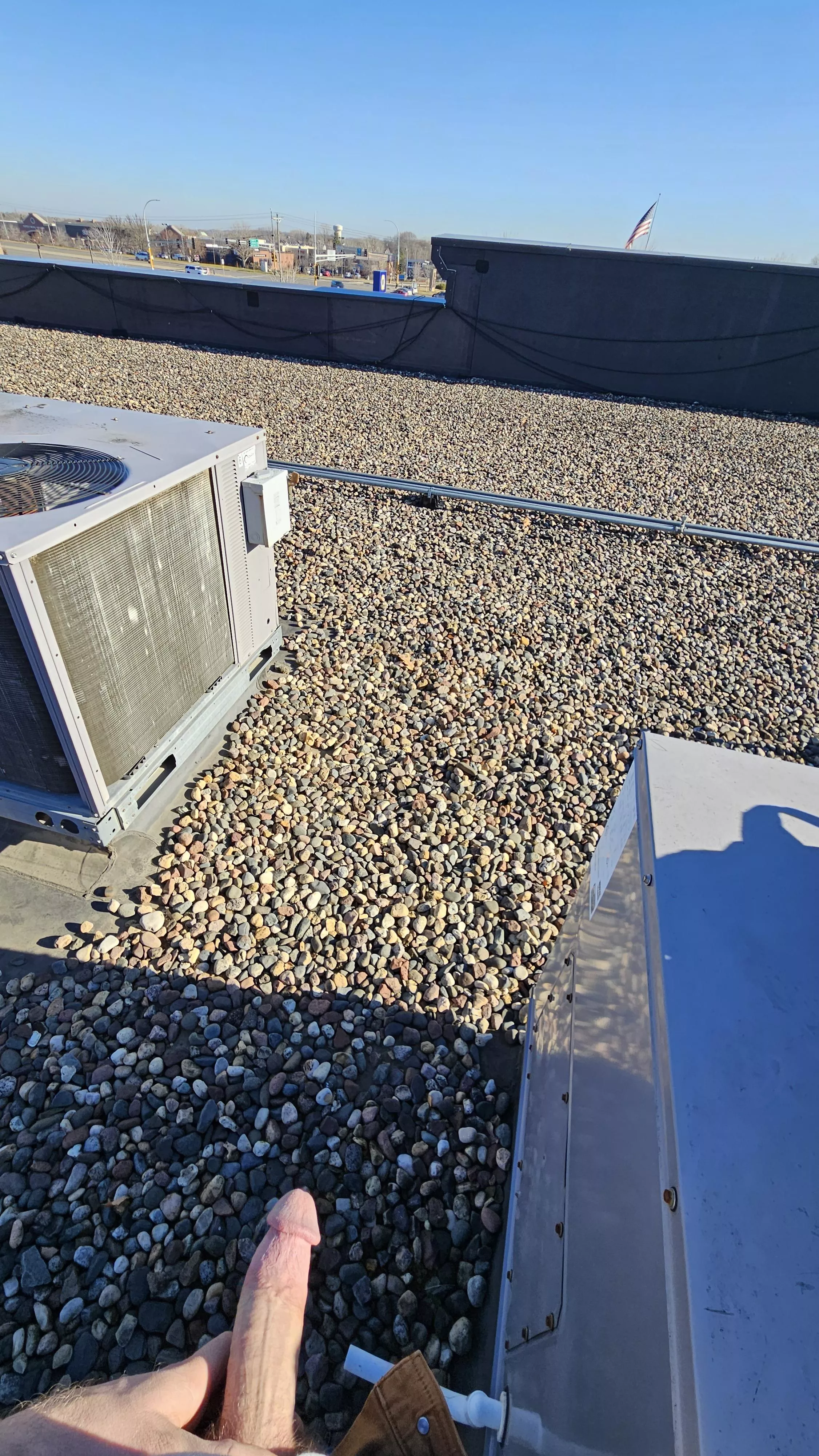 Hanging out on a roof