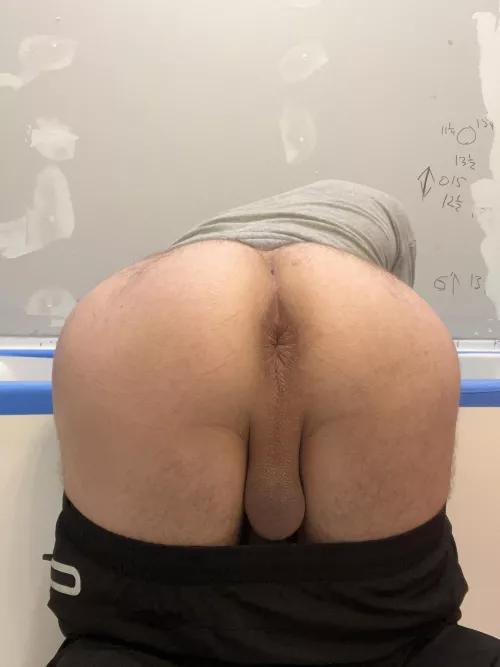 I am your new handyman