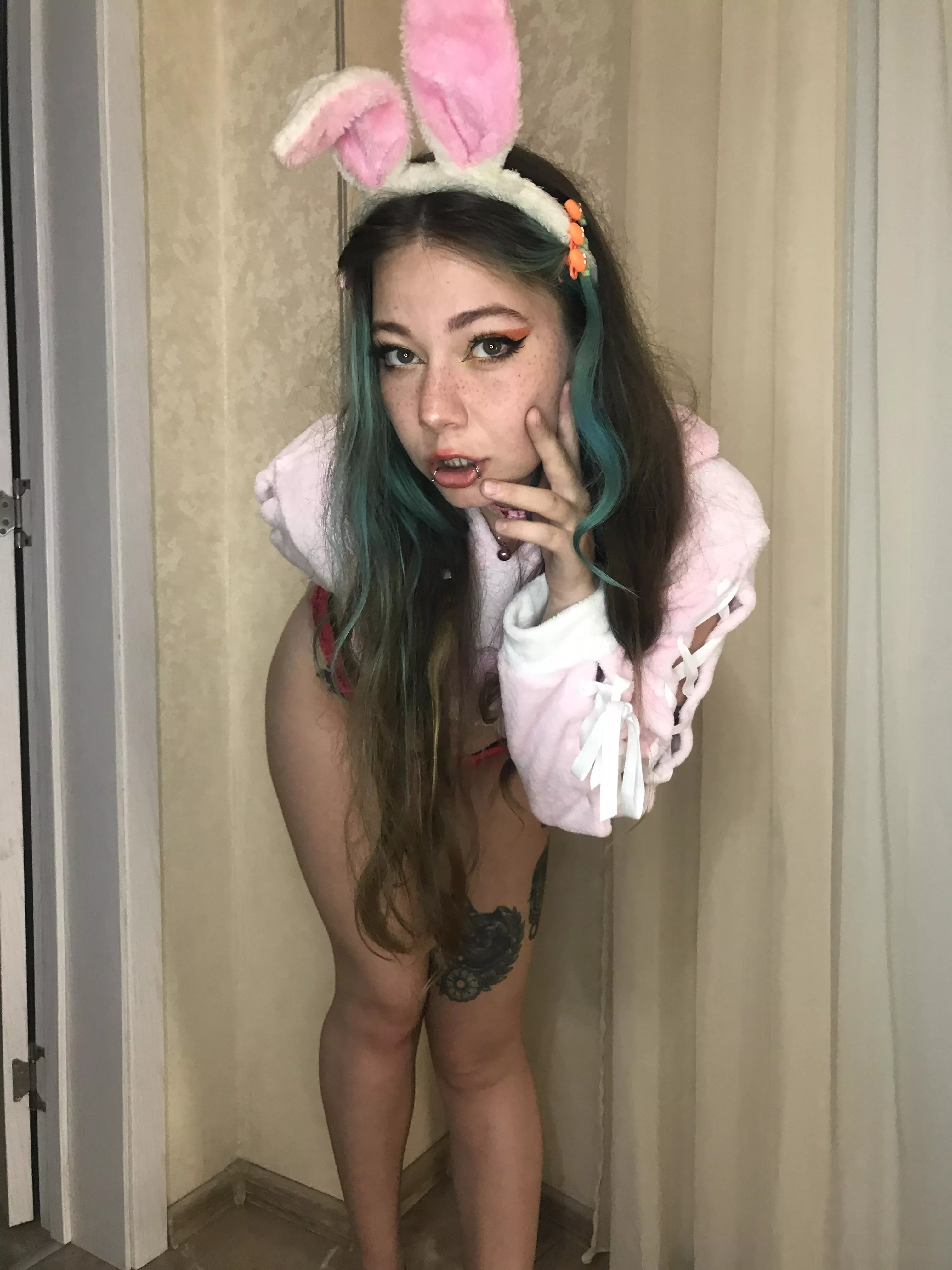 Little bunny looking for a sweet carrot