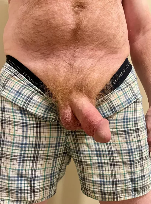 Mostly soft ginger…(50)