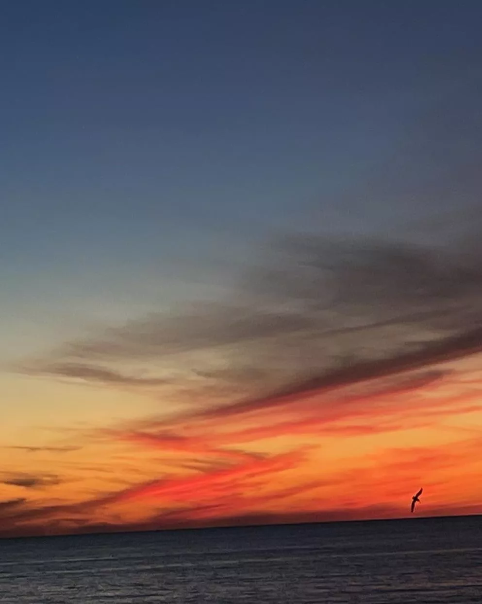 My backyard tonight. Never gets old.