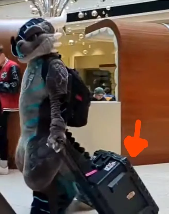 Need help identifying what sort of storage box this is, please