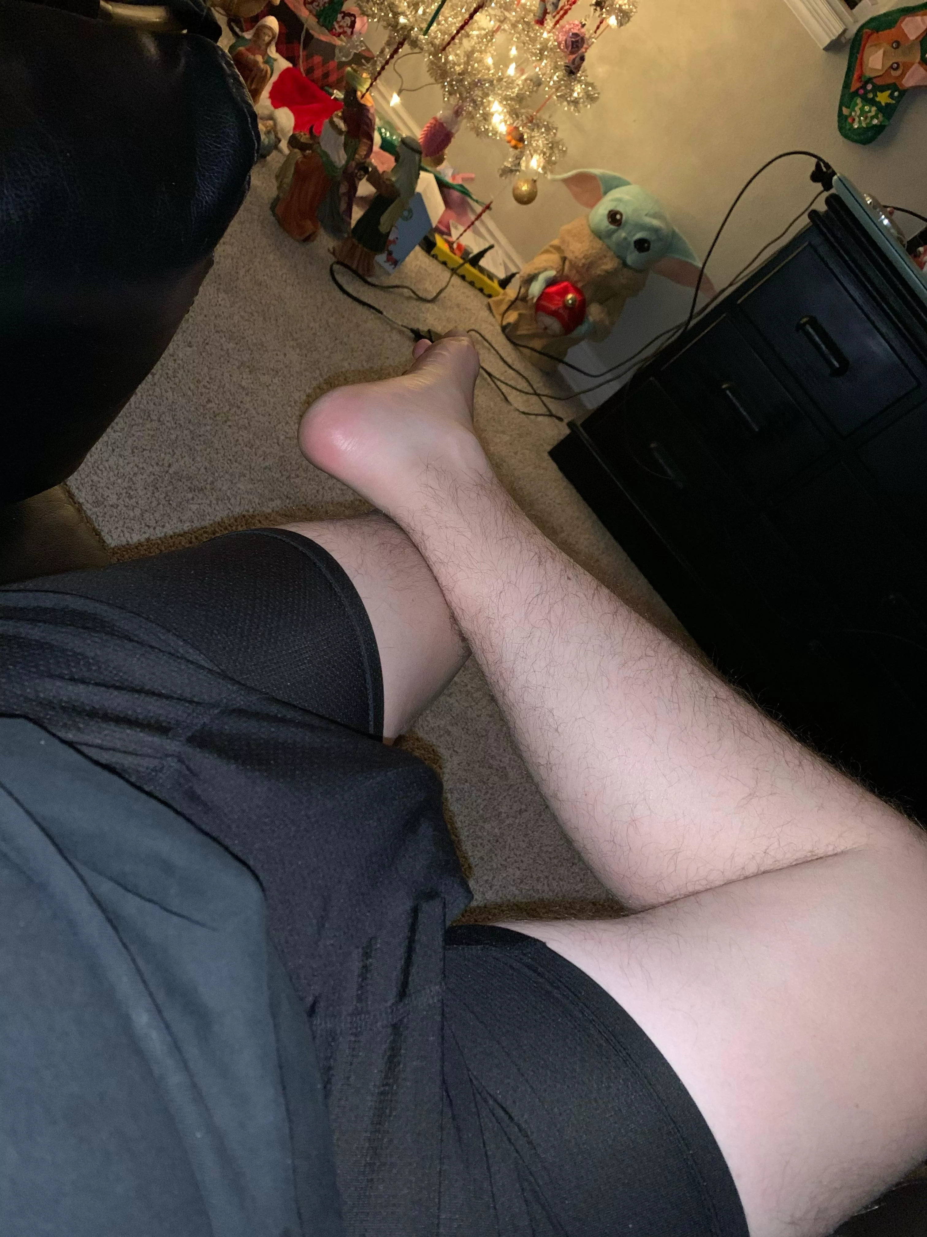 Pitching a tent by the tree