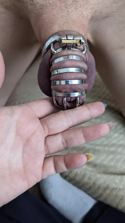 Should I be your keyholder and lock you up ?😈