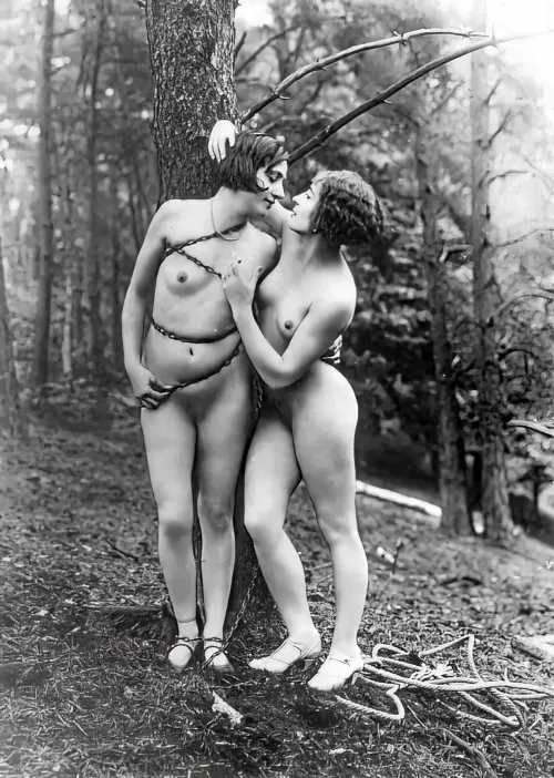 Sir, A distingushed member of this club recently complained of the state of his lawns. I fear he is not alone, why only yesterday I discovered two of the gardeners hopelessly attempting to prune a tree, I observed their efforts from the bushes.