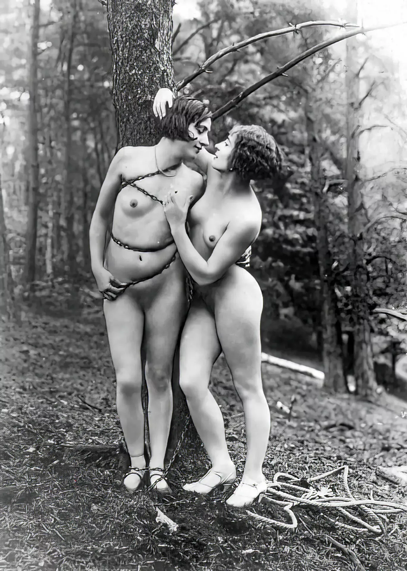 Sir, A distingushed member of this club recently complained of the state of his lawns. I fear he is not alone, why only yesterday I discovered two of the gardeners hopelessly attempting to prune a tree, I observed their efforts from the bushes.