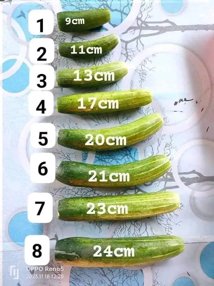 So where do yours fit my Gs, I'm between 6 and 7 So where do yours fit my Gs, I'm between 6 and 7