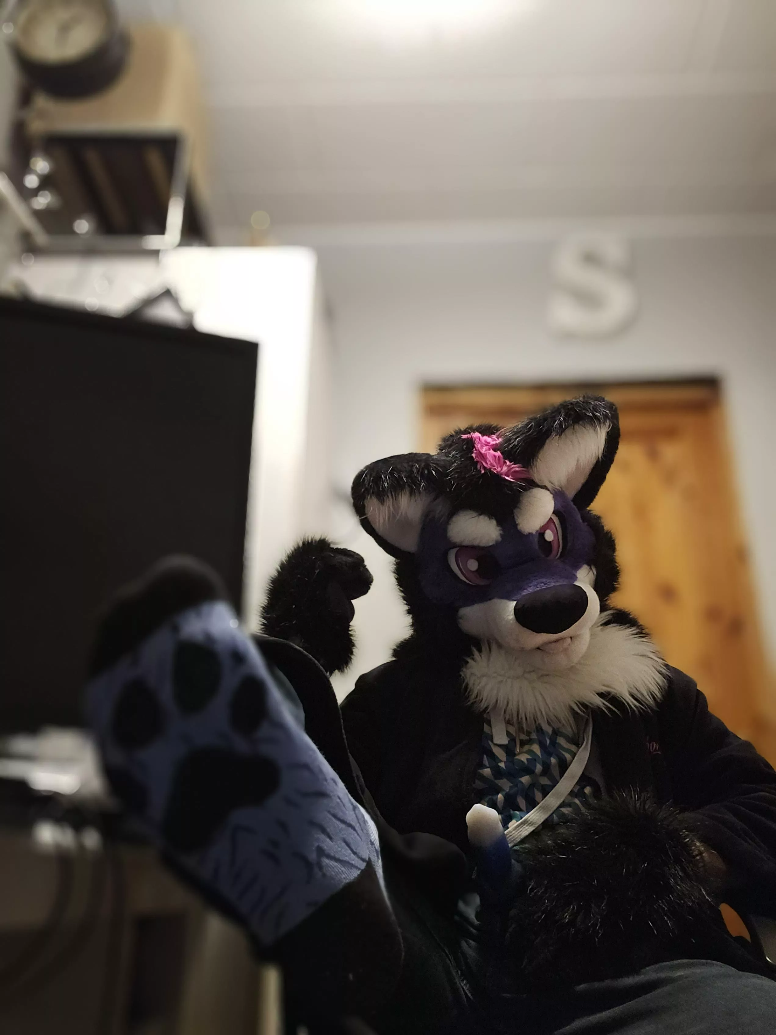 This woof is back with some new beans