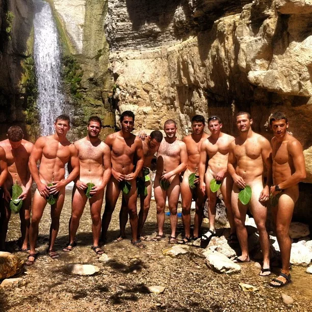 Waterfall fig leaves