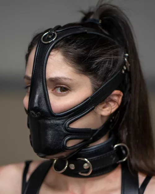 Where can I buy this?