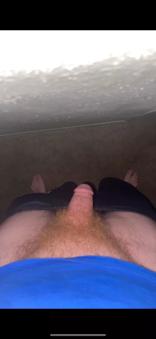 18, any hair gingers like me? I like seeing your pubes, message me