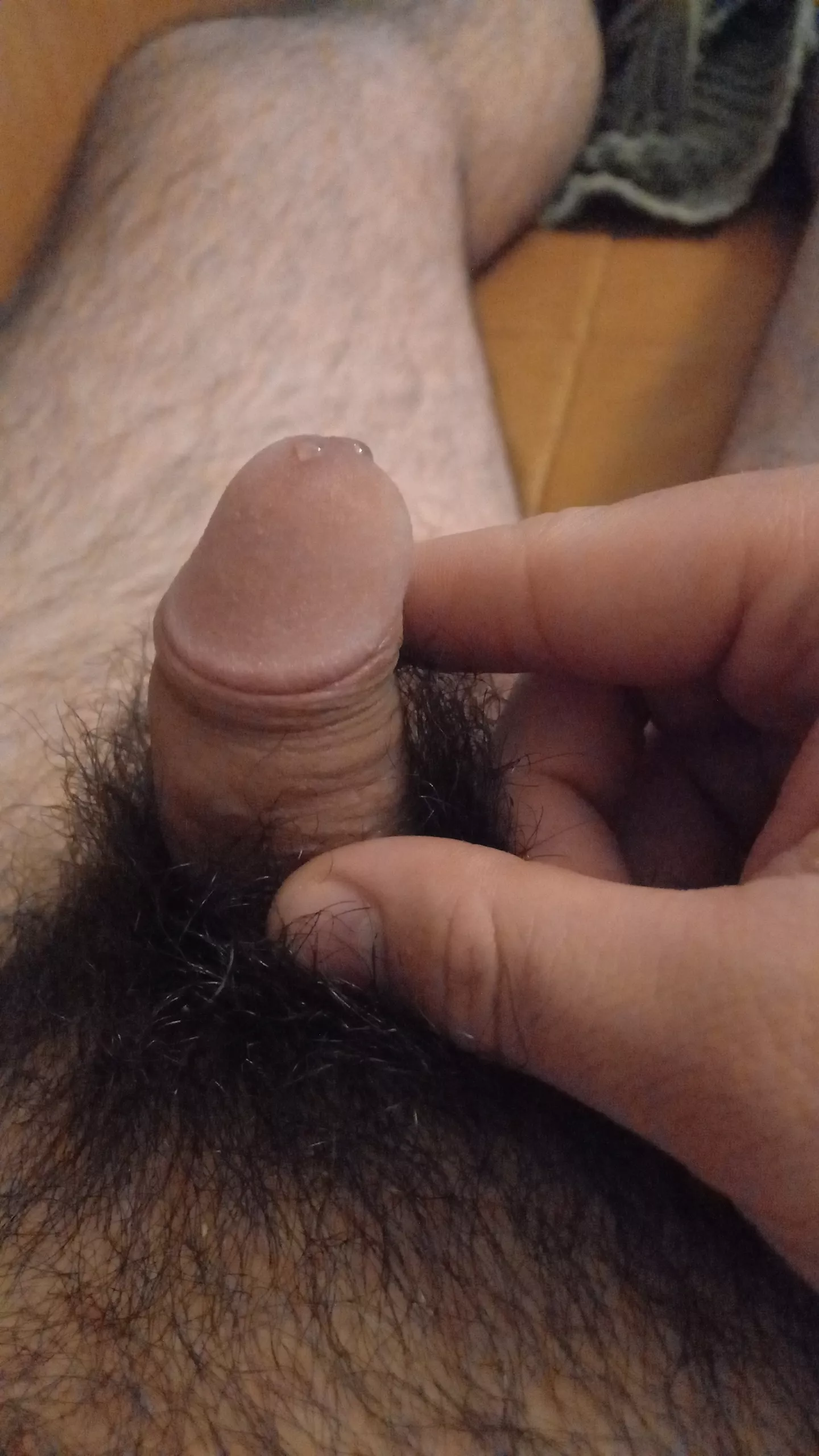 Anyone want to join me on the couch?