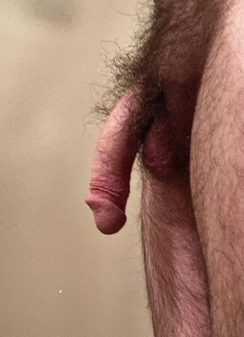 First post here—hairy enough?
