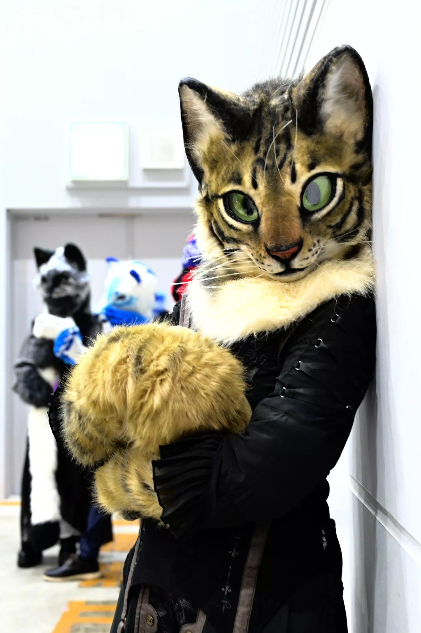 #FursuitFriday by @maycat05 on Twitter
