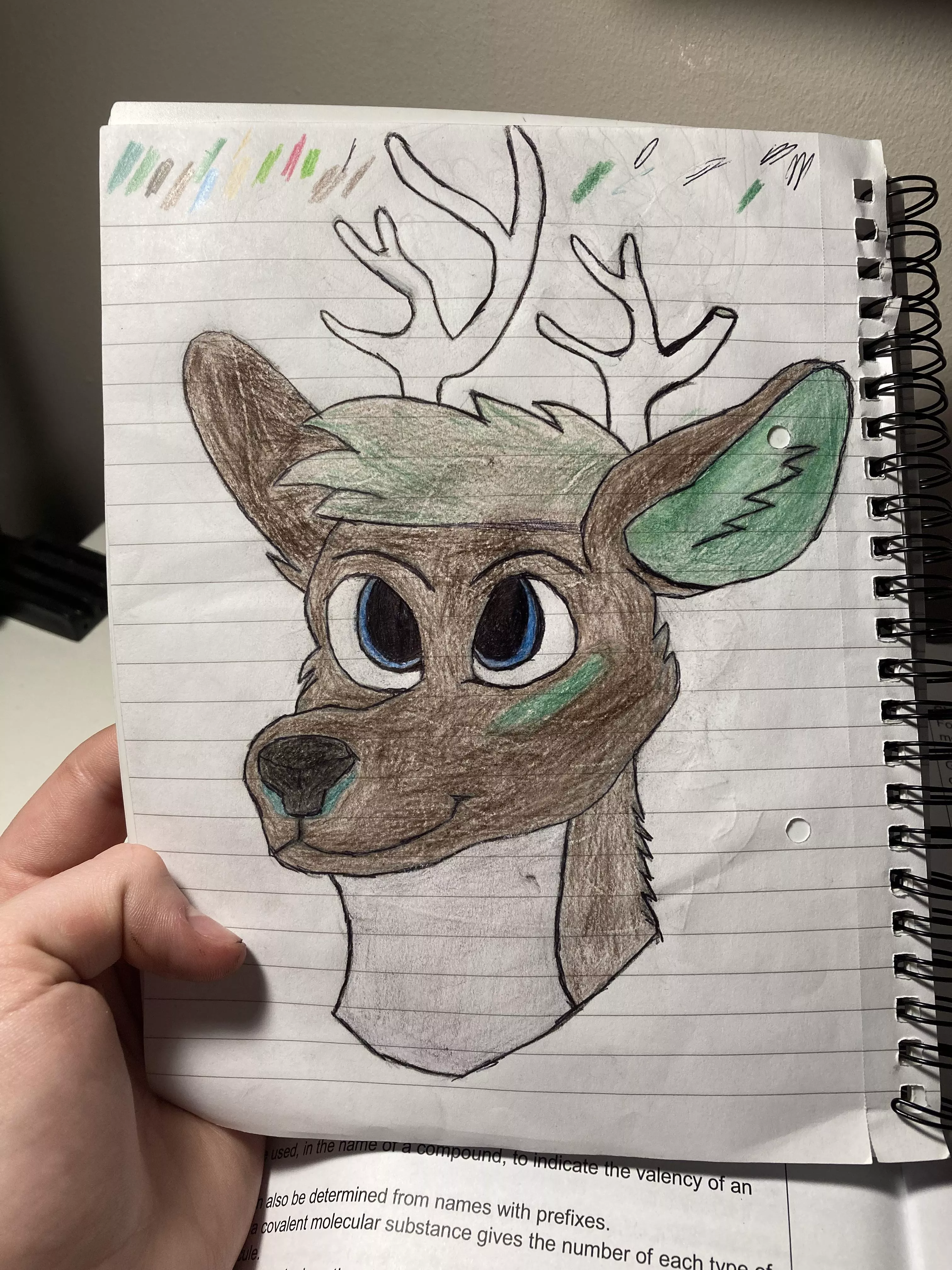 My first attempt at drawing my Fursona! Also open to name suggestions.