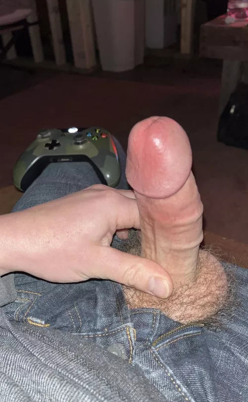 Suck on my Hairy Cock while I game