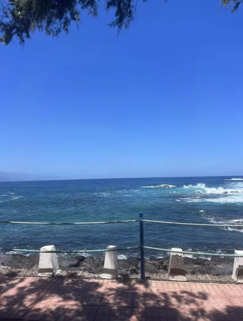 Why do you like to be alone…