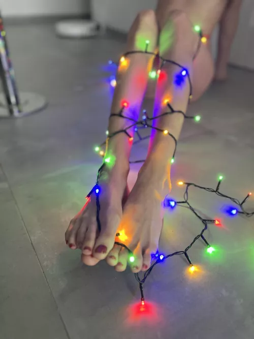 wrap them up under the tree