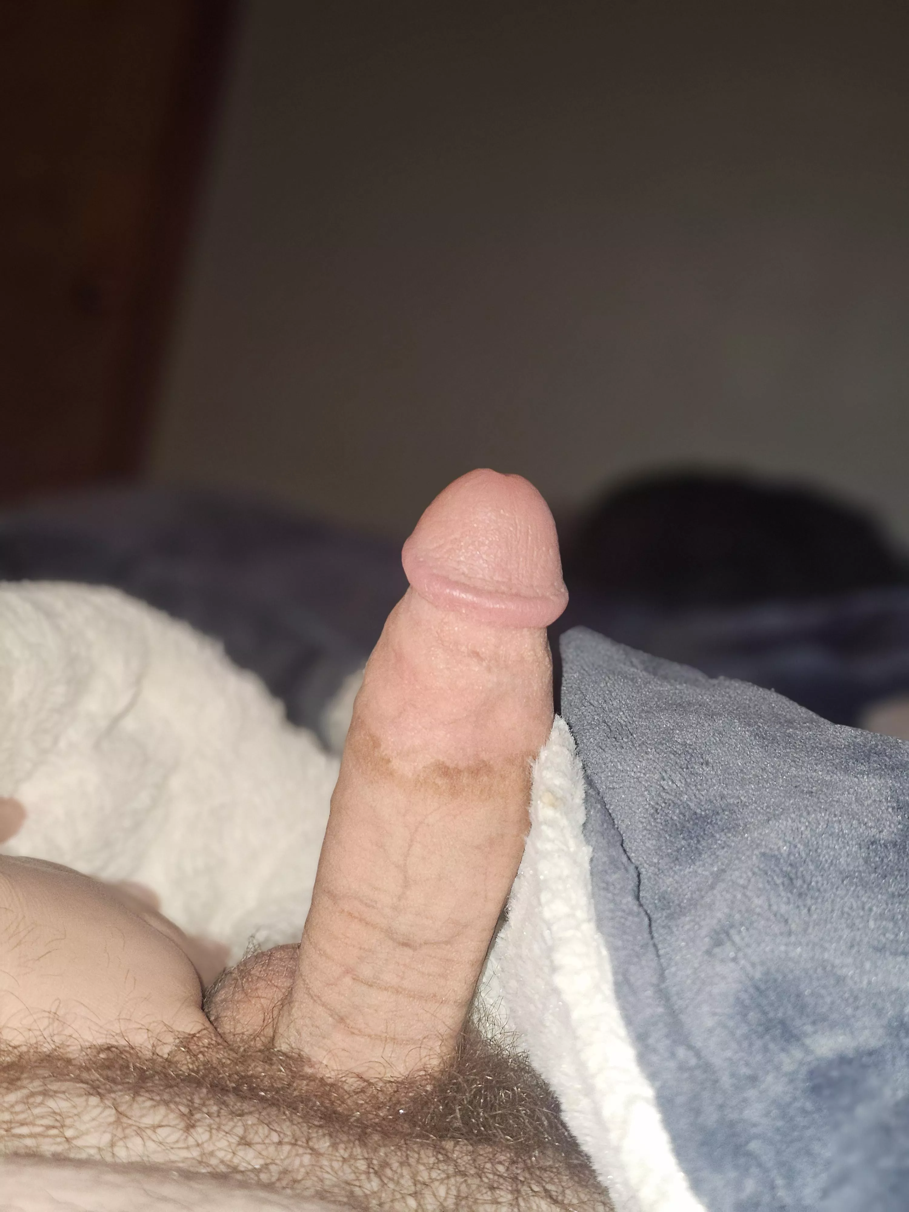 26. Gay, Staying at a friend's house for the weekend and I'm rock fucking solid. Looking for anyone and everyone. Any and all ages and Body types welcome. Sc: kiss_stepanic