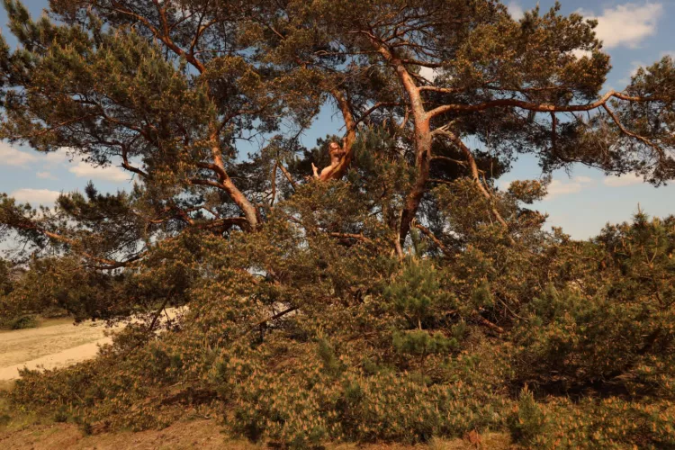 Can you see me? Haha