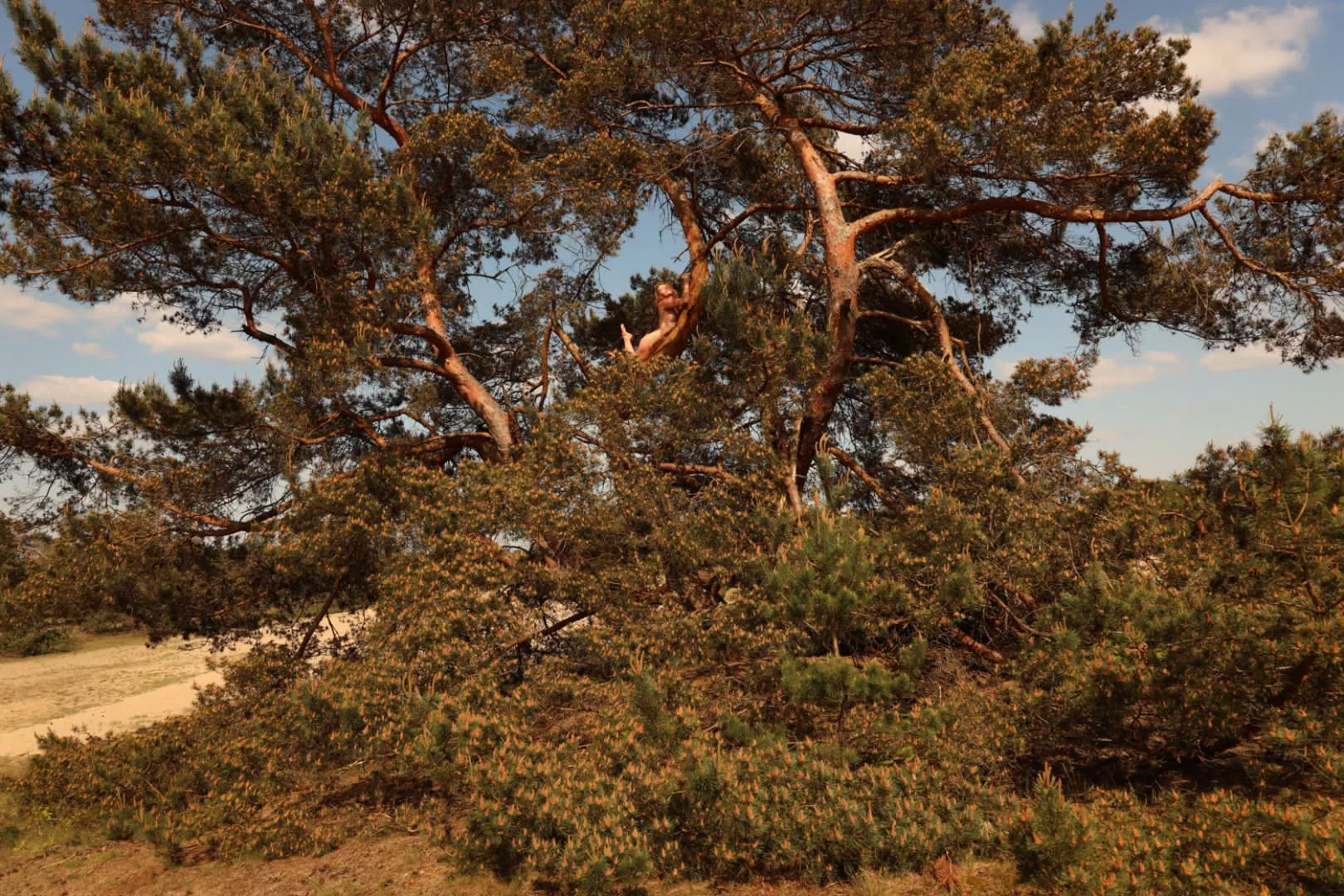 Can you see me? Haha