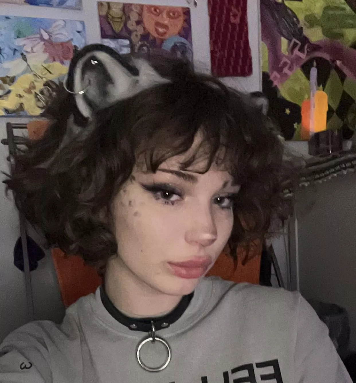 collared snow leopard