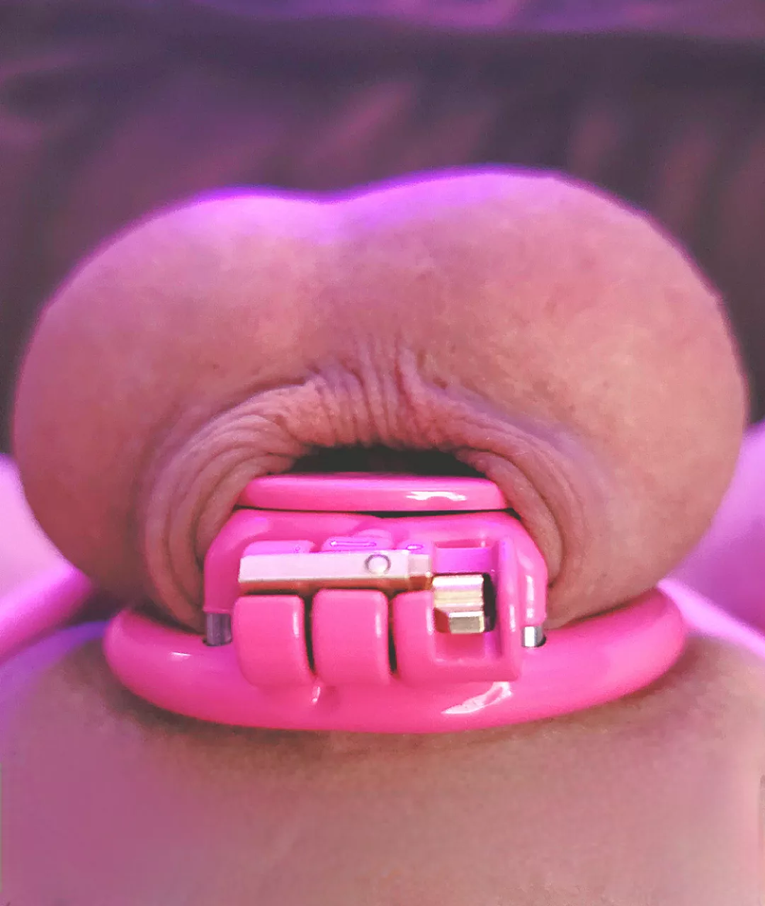 Freshly shaved & caged clitty π©·π€π©·π€π©· Freshly shaved & caged clitty π©·π€π©·π€π©·