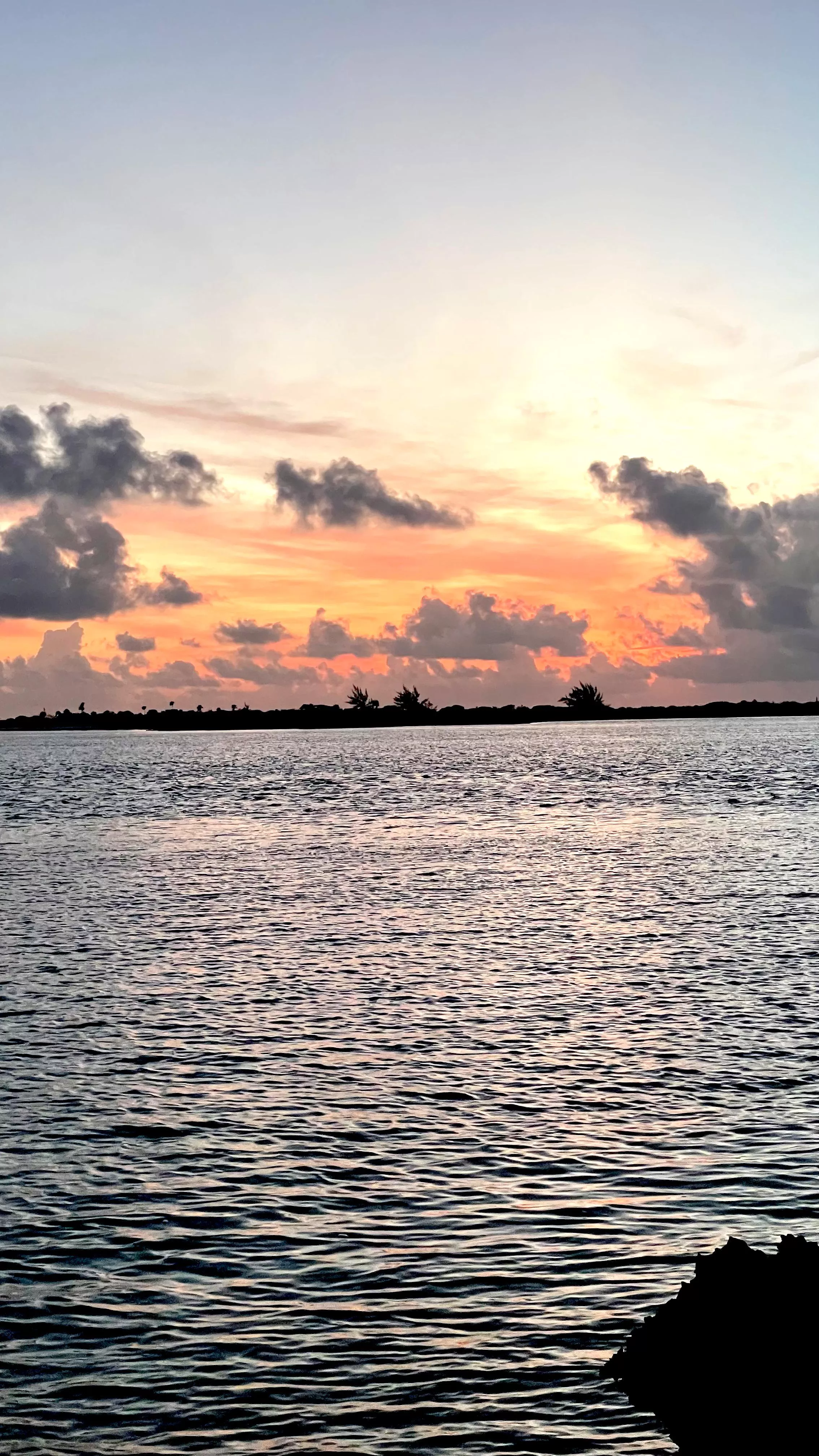 Good morning beach lovers, from Rolletown.