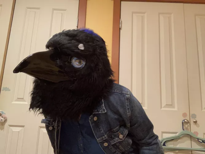 Happy Feathersuit Friday! :D 💙🐦