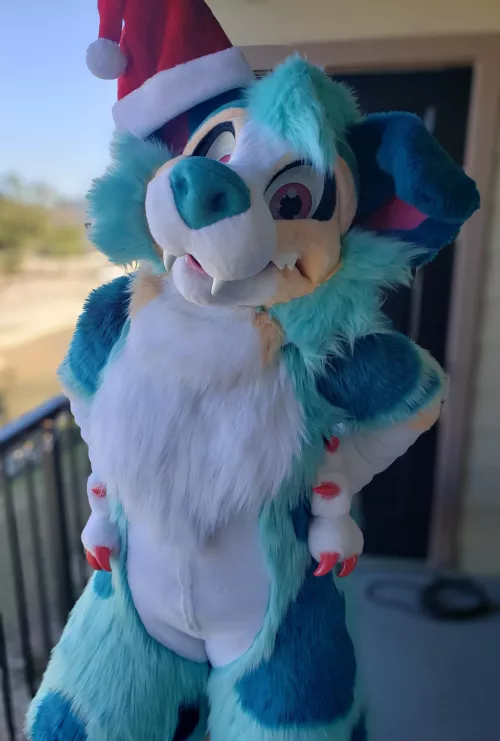 Have any holiday plans?