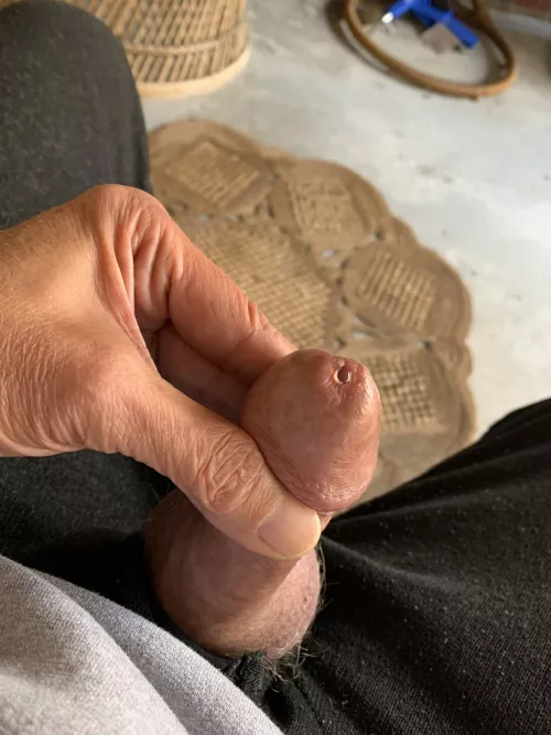 Heads all shiny with precum and more cumming out