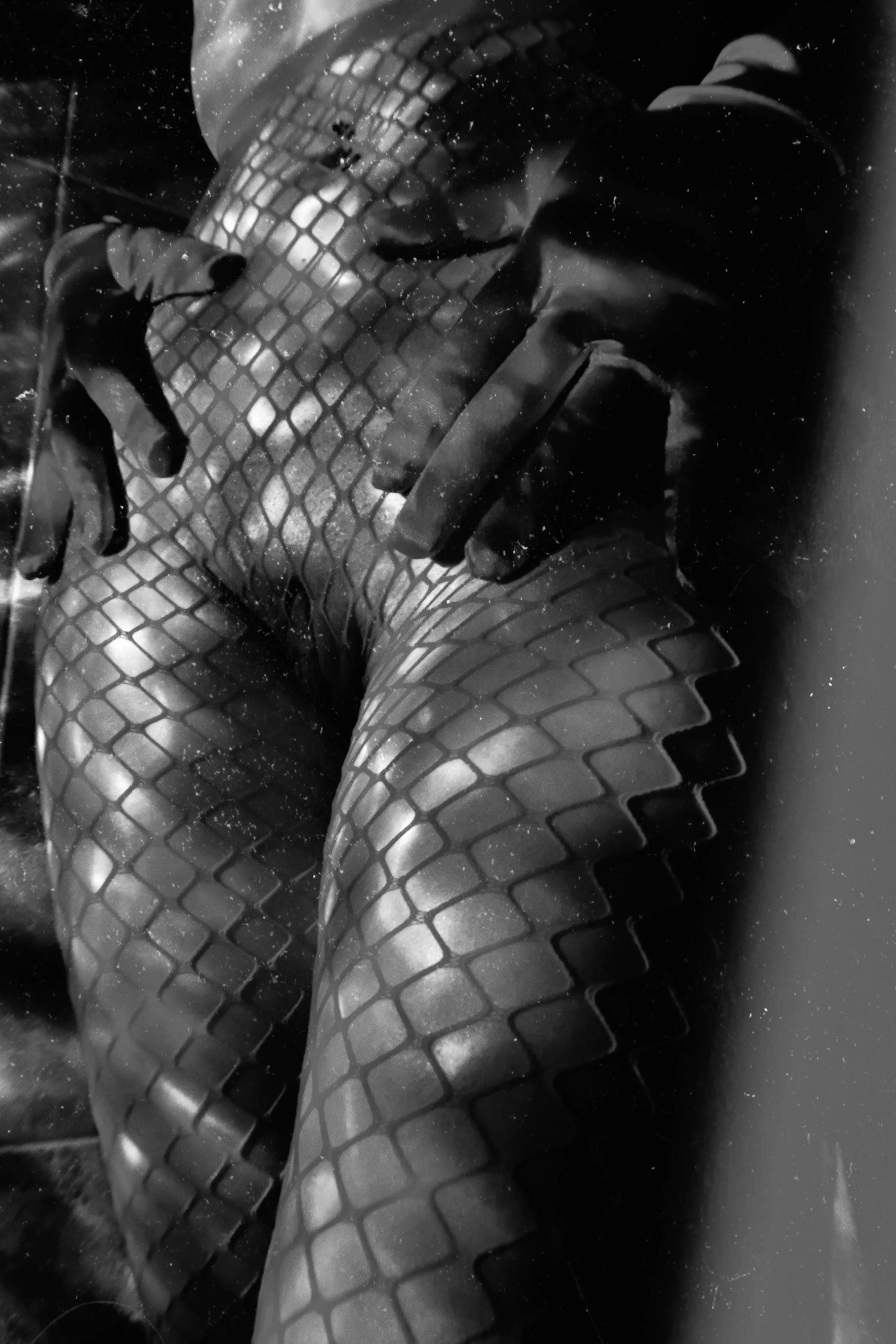 Hiding in the shadows [OC]