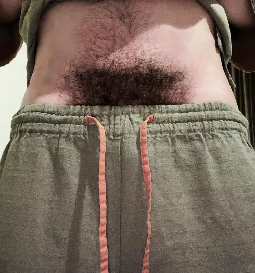 Is my bush thick enough?